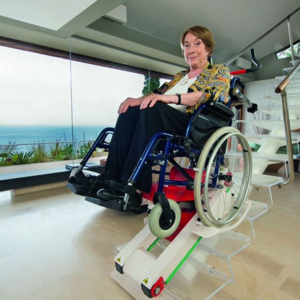 DOMINO PEOPLE Electric stair climber for disabled persons 400kg MATERIAL LIFTS