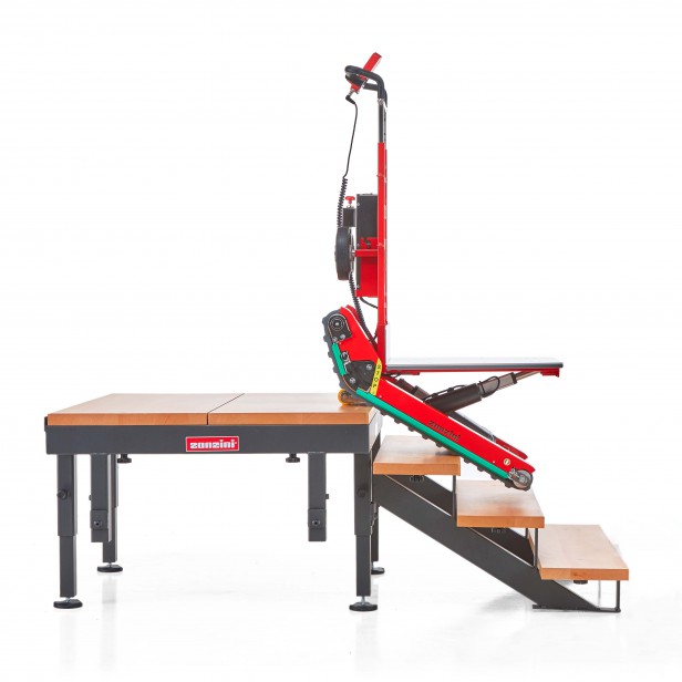 DOMINO AUTOMATIC Electric stair climber  400kg MATERIAL LIFTS