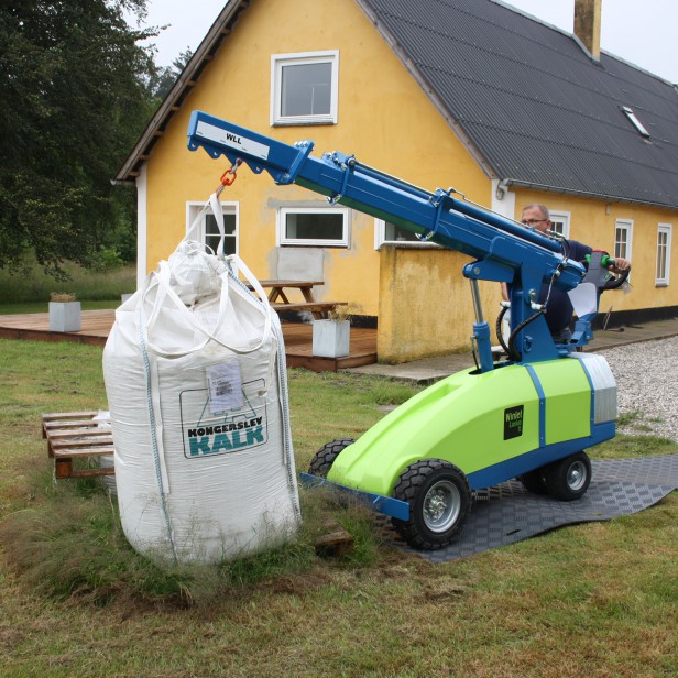 MINI ELECTRIC CRANE LASIUS 1000KG - 4M