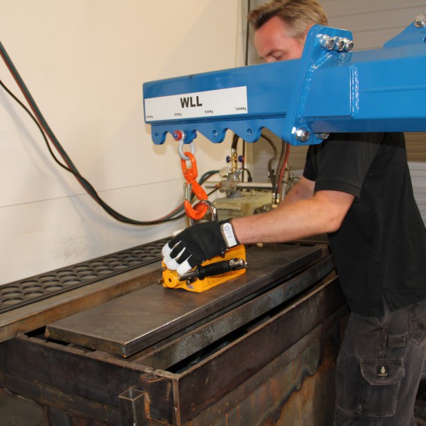 MINI ELECTRIC CRANE LASIUS 1000KG - 4M