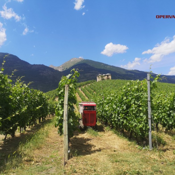 P08 Mini Dumper OPERVAL με ασυρματο χειρισμο 