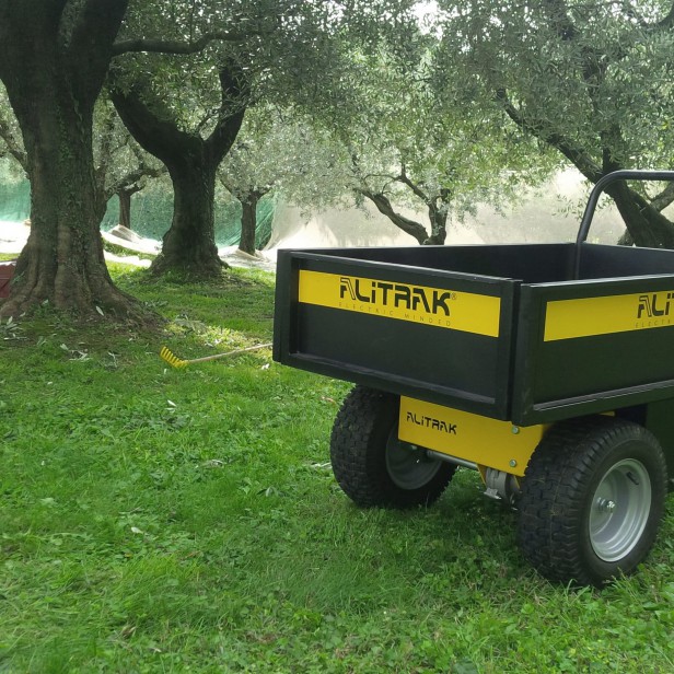 ALITRAK ELECTRIC CARGO TRANSPORTER  JT-300L E / JT-300L S / JT-300L P 300-500KG