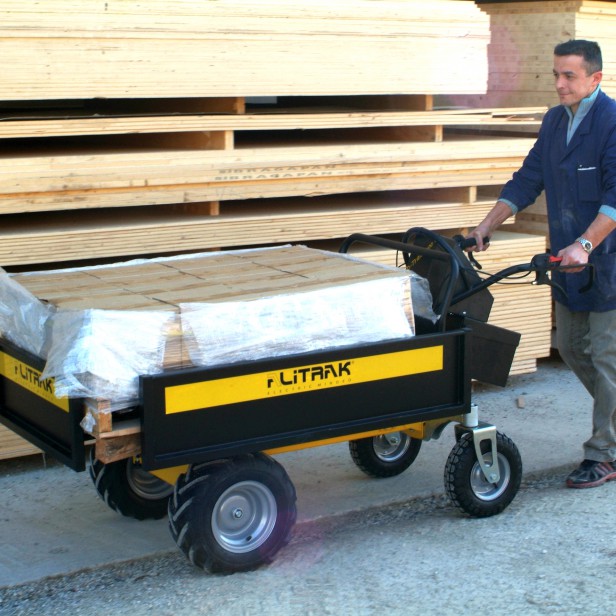 ALITRAK ΗΛΕΚΤΡΙΚΟΣ ΜΕΤΑΦΟΡΕΑΣ ΦΟΡΤΙΩΝ DT300L - 300KG