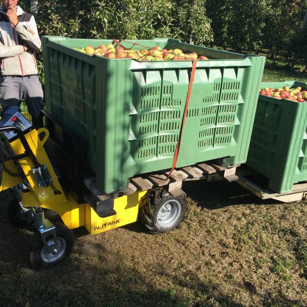 ALITRAK ΗΛΕΚΤΡΙΚΟ ΚΑΡΟΤΣΙ ΜΕΤΑΦΟΡΑΣ/DUMPER  MT-500S / MT-500P  400-500KG