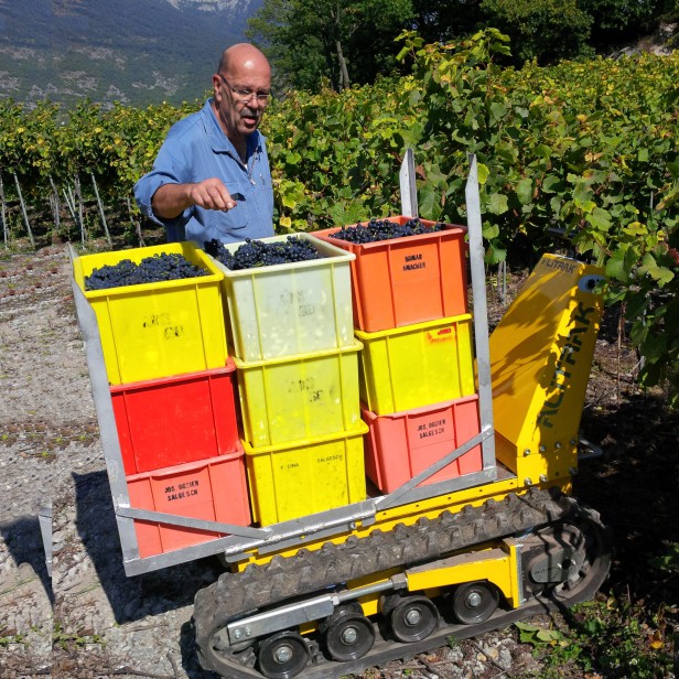 ALITRAK ΗΛΕΚΤΡΙΚΟΣ ΕΡΠΥΣΤΡΙΟΦΟΡΟΣ ΦΟΡΤΩΤΗΣ/DUMPER DCT300P - 600KG ALITRAK ΗΛΕΚΤΡΙΚΟΣ ΕΡΠΥΣΤΡΙΟΦΟΡΟΣ ΦΟΡΤΩΤΗΣ/DUMPER DCT300P - 600KG