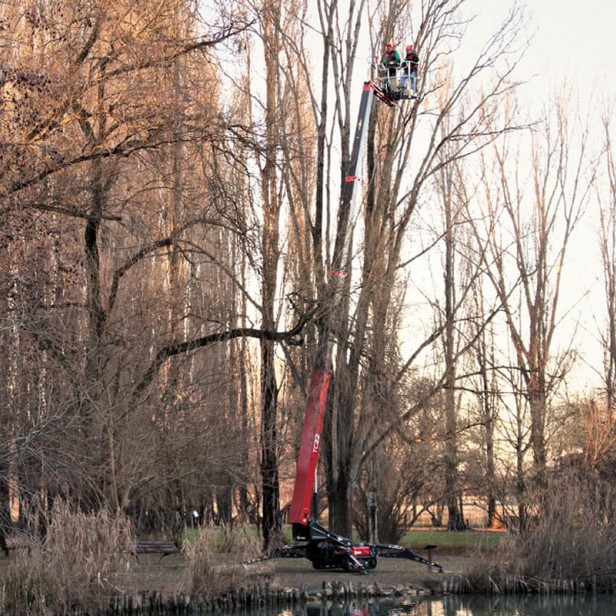 HINOWA TELECRAWLER 22S 22M 230KG 