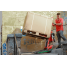 ZONZINI DOMINO PT ηλεκτρικό παλετοφόρο σκάλας 450 kg, ZONZINI DOMINO PT ηλεκτρικό ερπυστριοφόρο παλετοφόρο σκάλας, ZONZINI DOMINO PT παλετοφόρο για μεταφορά παλετών σε σκάλες, ZONZINI DOMINO PT ερπυστριοφόρο παλετοφόρο μεταφοράς φορτίων, ZONZINI DOMINO PT