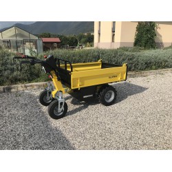 ALITRAK ΗΛΕΚΤΡΙΚΟΣ ΜΕΤΑΦΟΡΕΑΣ ΦΟΡΤΙΩΝ DT300L - 300KG