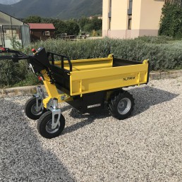 ALITRAK ELECTRIC CARGO TRANSPORTER DT300L - 300KG