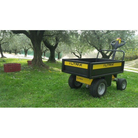 ALITRAK ΗΛΕΚΤΡΙΚΟΣ ΜΕΤΑΦΟΡΕΑΣ ΦΟΡΤΙΩΝ JT-300L E / JT-300L S / JT-300L P 300-500KG - Kapountalis