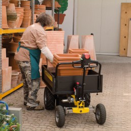 ALITRAK ELECTRIC CARGO TRANSPORTER  JT-300L E / JT-300L S / JT-300L P 300-500KG