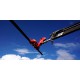 BEFARD INDUSTRIAL MANIPULATOR FOR PIPES & MASTS BX - 1000KG BEFARD INDUSTRIAL MANIPULATOR FOR PIPES & MASTS BX - 1000KG - Kapountalis