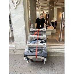 CARGOMASTER C120V | Ηλεκτρικό καρότσι μπαταρίας για σκάλες με μεγάλη πλατφόρμα - 120 kg