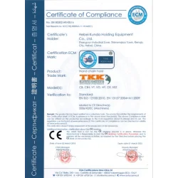 Black Chain hoist 1000kg,10m stroke,10m handling chain Black Chain hoist 1000kg,10m stroke,10m handling chain