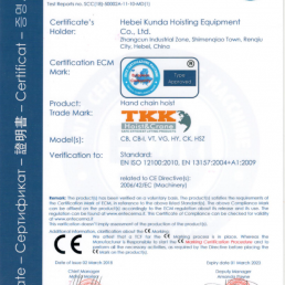 Black Chain hoist 1000kg,15m stroke,15m handling chain