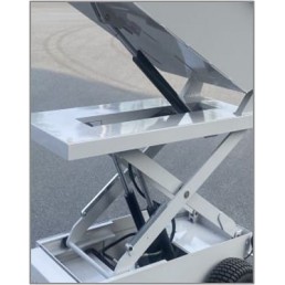 HUAGANG HG-210 | Ηλεκτροκίνητο Καρότσι με Ανατροπή | 800 kg 