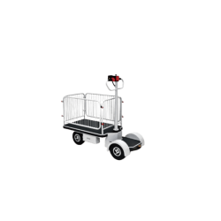HUAGANG HG-2408 | Standing Drive Electric Cart | 250 kg HUAGANG HG-2408 | Standing Drive Electric Cart | 250 kg