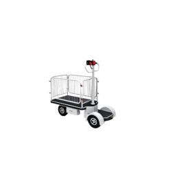 HUAGANG HG-2408 | Ηλεκτροκίνητο Καρότσι Όρθιας Οδήγησης | 250 kg