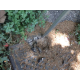 ITALIFTERS MZ120 | Sliding hammer for Lifting Jammed Manhole Covers ITALIFTERS MZ120 | Sliding hammer for Lifting Jammed Manhole Covers - Kapountalis