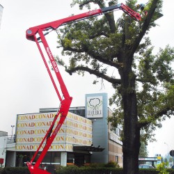 Platform Basket Spider 22.10 | Hybrid Tracked self-propelled spider lift | 21.70 m Platform Basket Spider 22.10 | Hybrid Tracked self-propelled spider lift | 21.70 m