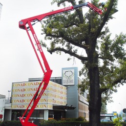 Platform Basket Spider 22.10 | Hybrid Tracked self-propelled spider lift | 21.70 m