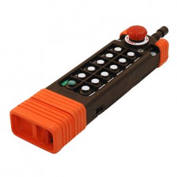 WIRELESS REMOTE CONTROLL SAGA  12/24 Vac/dc - 48-110-220 Vac