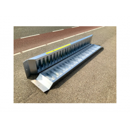 Set Aluminum 3M  ramps 3000kg  