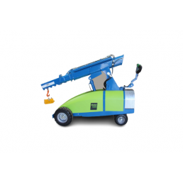 MINI ELECTRIC CRANE LASIUS 1000KG - 4M