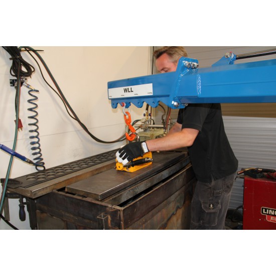 MINI ELECTRIC CRANE LASIUS 1000KG - 4M - Kapountalis