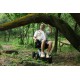 XSTO M4 | Electric Foldable Power Wheelchair for All-Terrain Use | 115 kg - Kapountalis