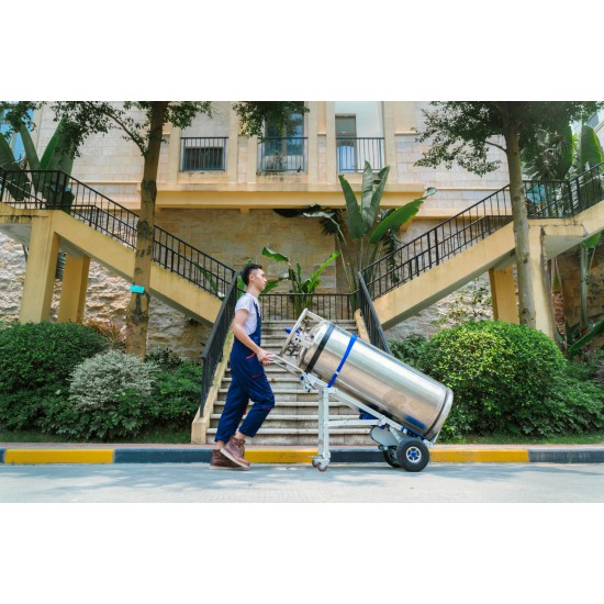 Ground Support Device - Kapountalis